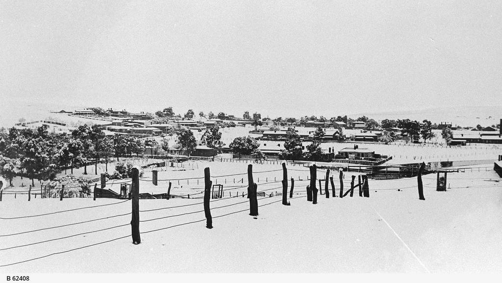 Snow