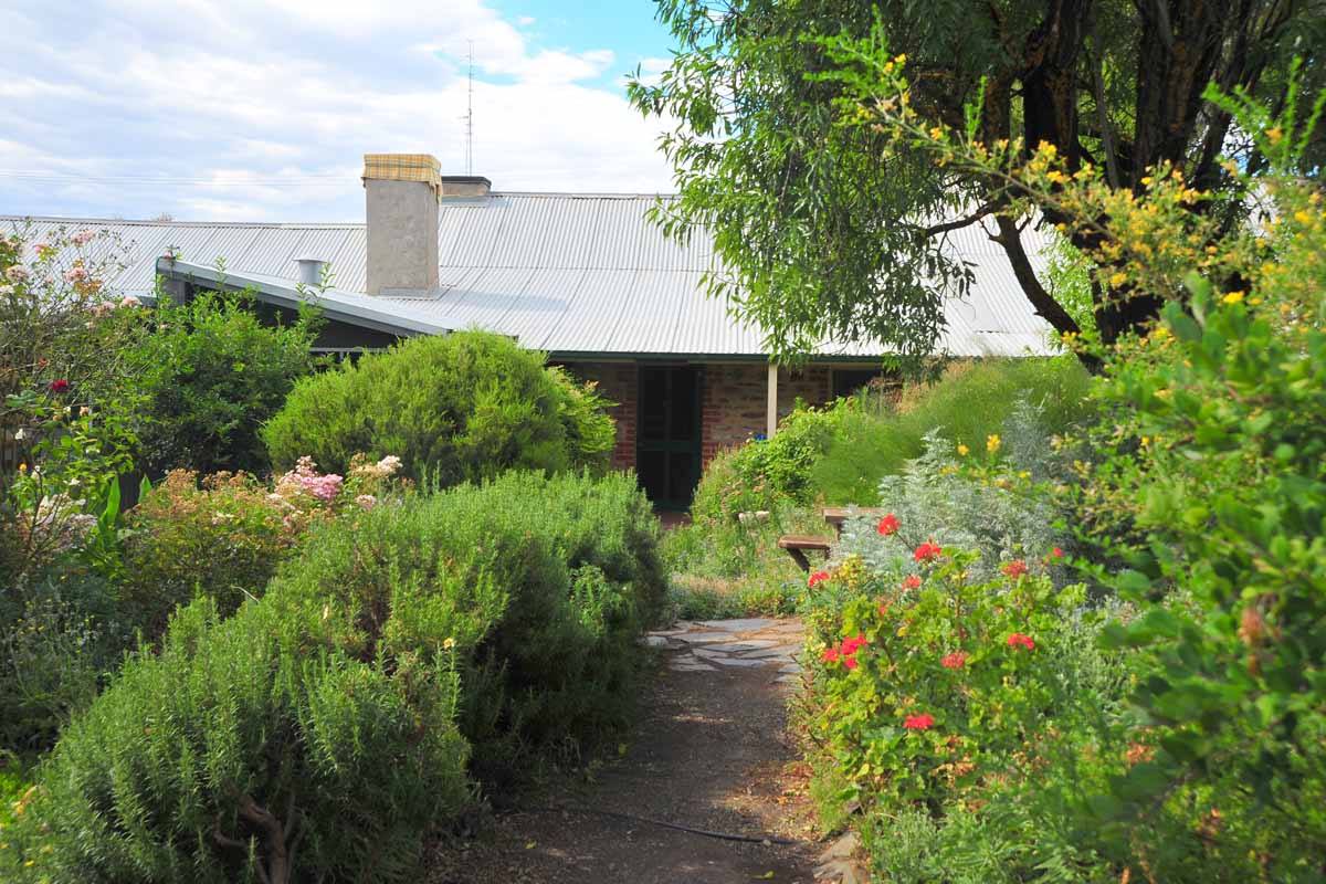 Cottage Garden