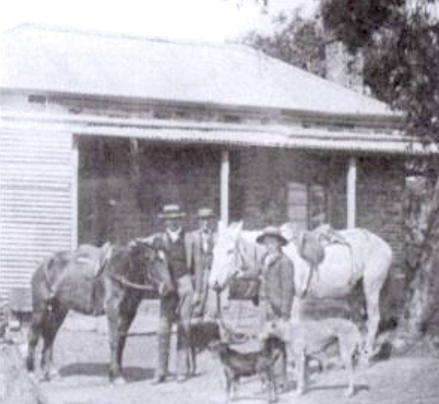 Horses